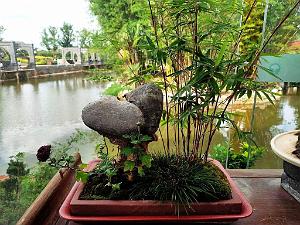 KUNMING - Parc Daguan - 099